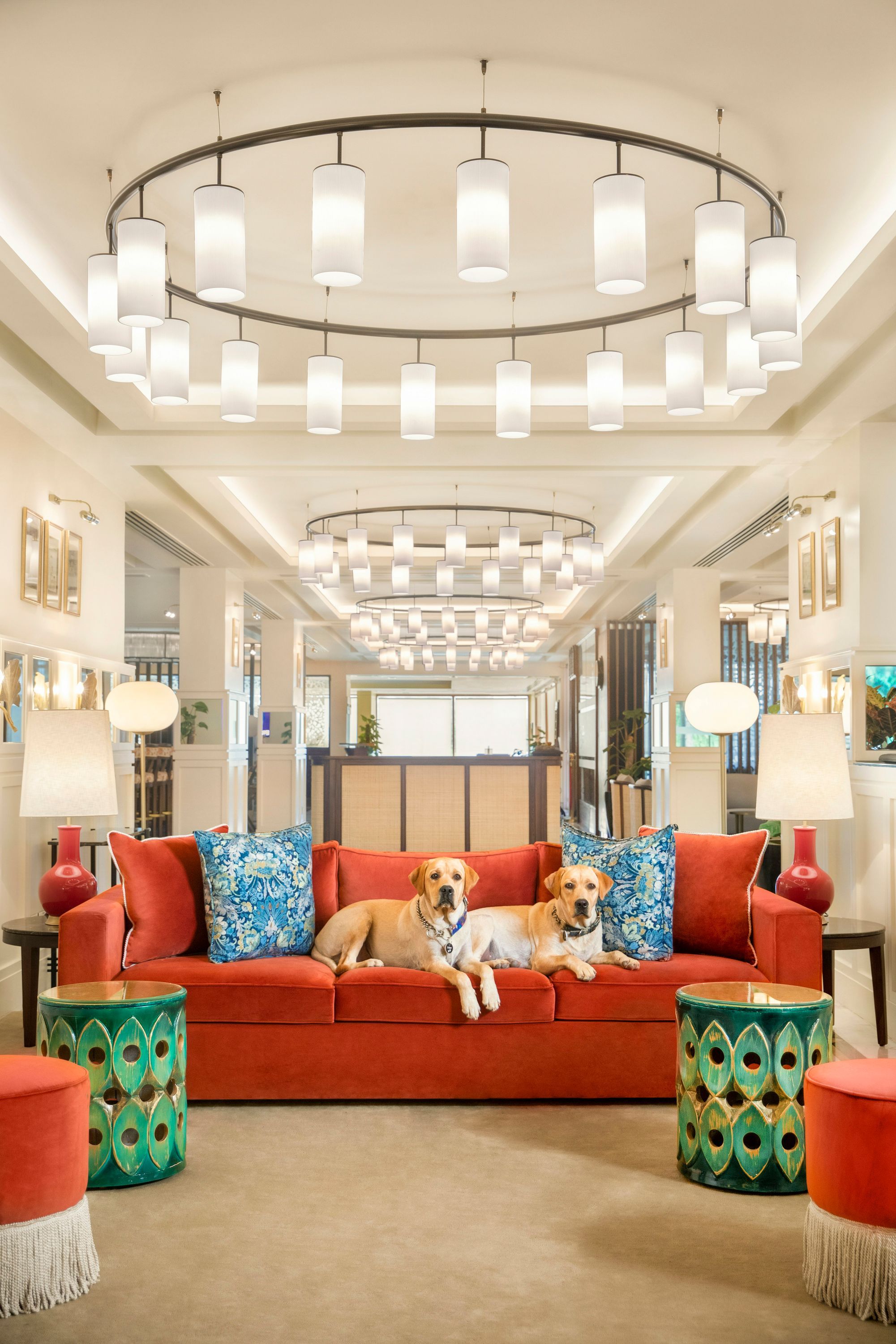 Area lounge