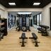 Palestra