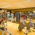 Palestra