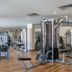 Palestra
