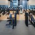 Palestra
