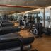 Palestra