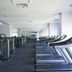 Palestra