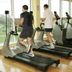 Palestra