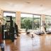 Palestra