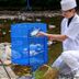 Altro