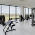 Palestra