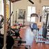 Palestra