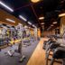 Palestra