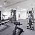 Palestra