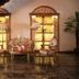 Ingresso