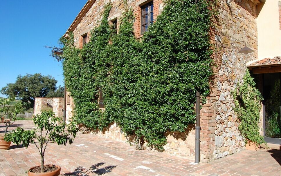 Vista esterna Foto