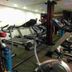Palestra