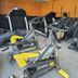 Palestra
