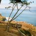 Vista esterna