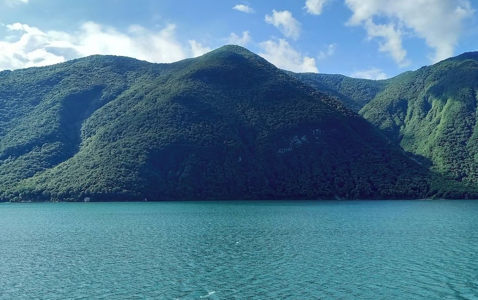 Altro Foto