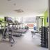 Palestra