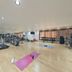 Palestra