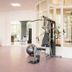 Palestra