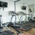 Palestra