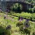 Vista esterna