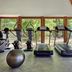 Palestra