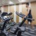 Palestra