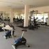 Palestra