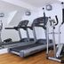 Palestra