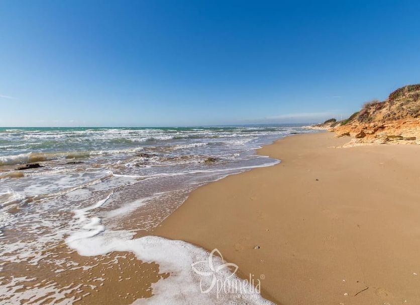 Spiaggia Foto