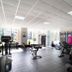 Palestra