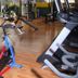 Palestra