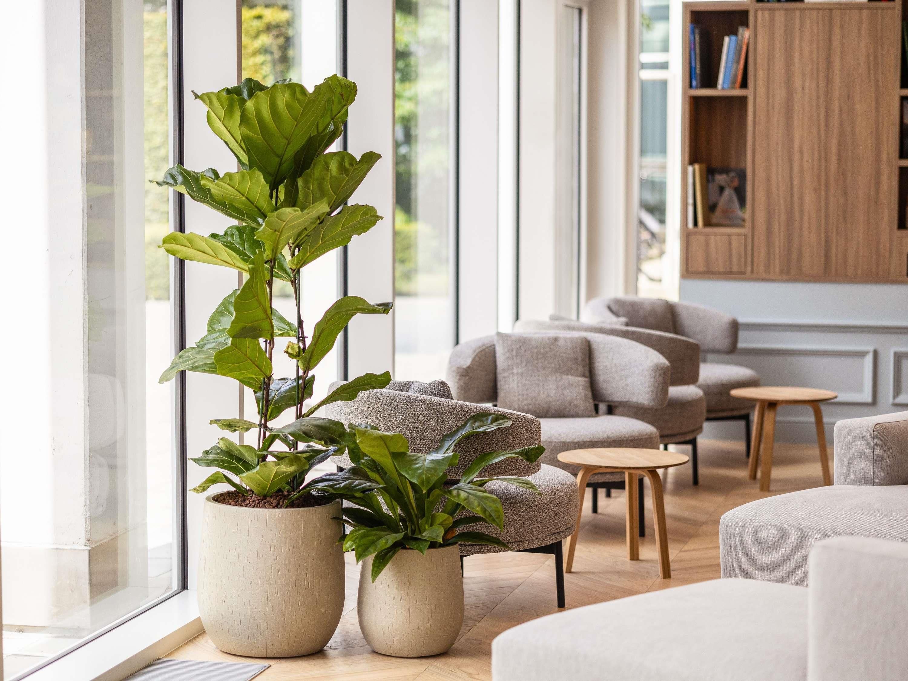 Area lounge