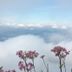 Vista esterna