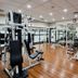 Palestra