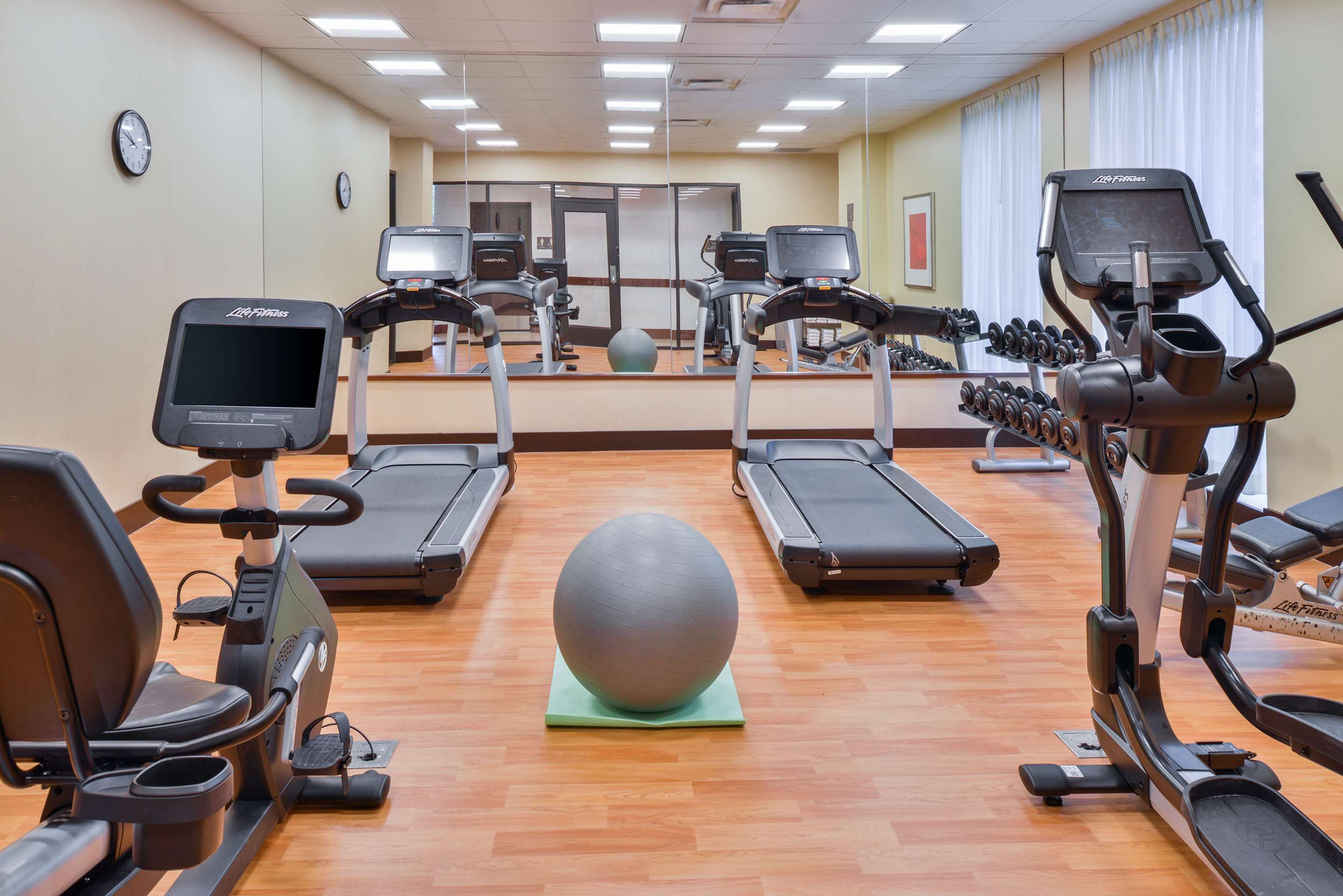 Palestra