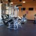 Palestra