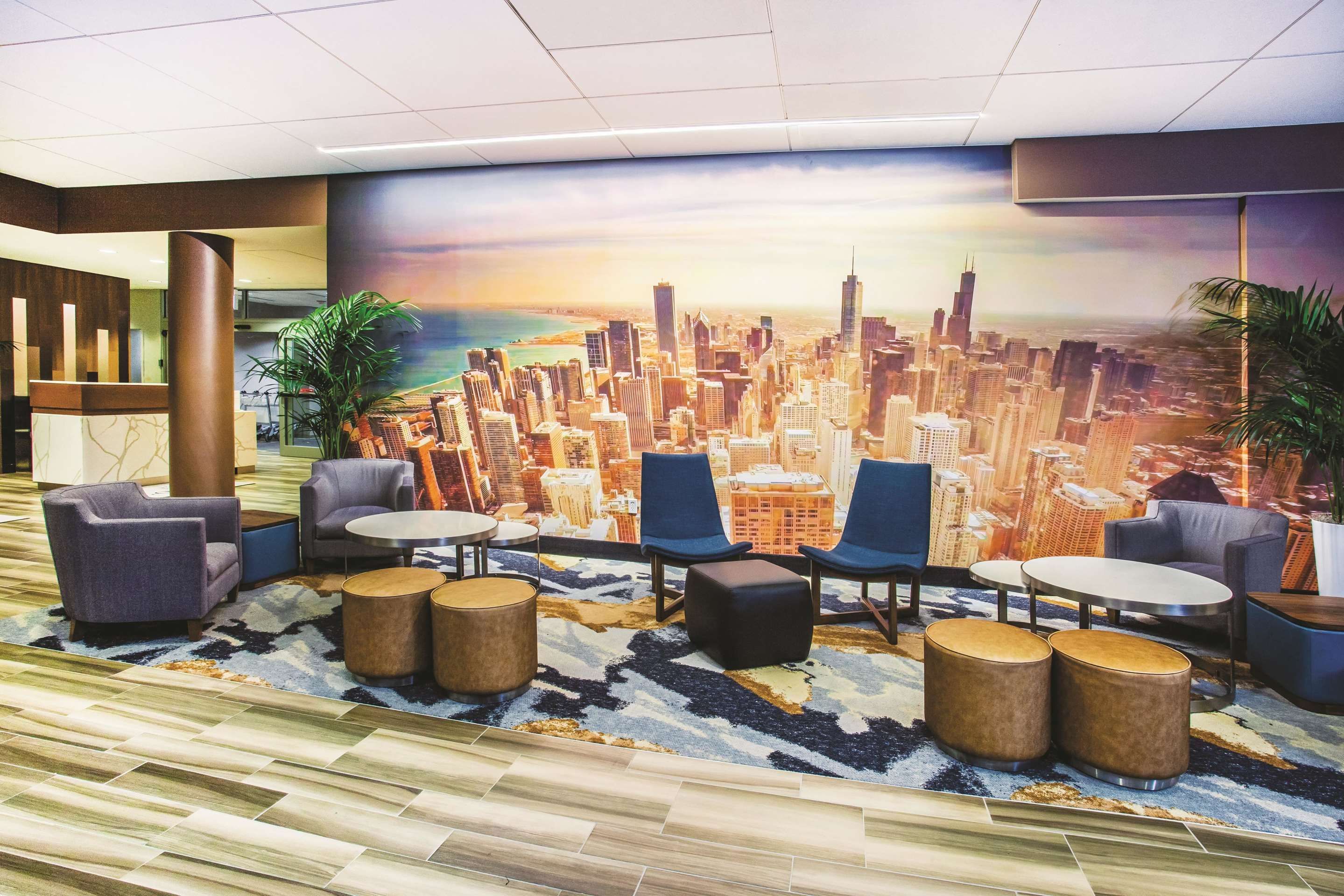 Area lounge