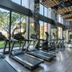 Palestra