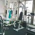 Palestra