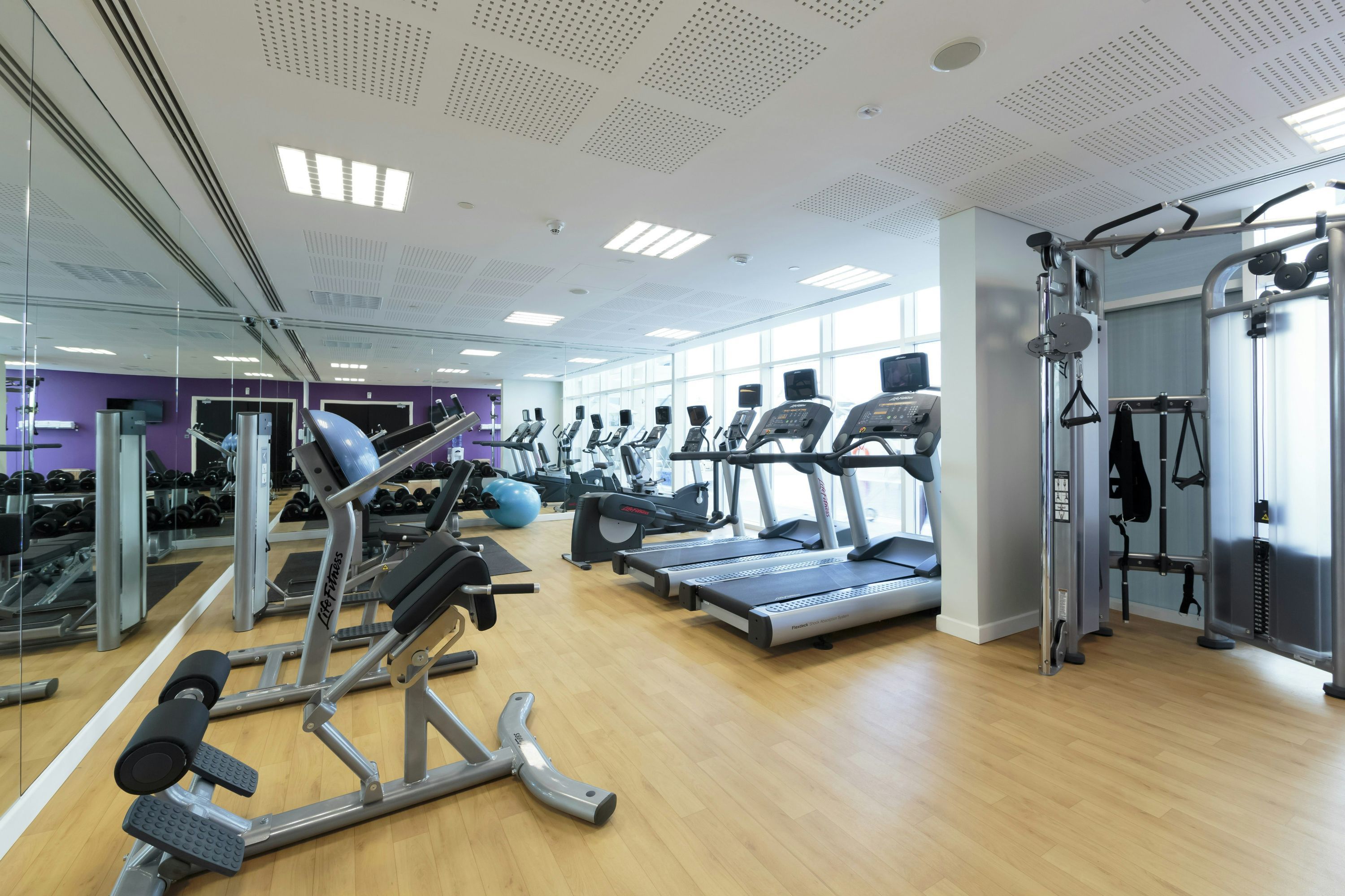 Palestra