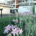 Vista esterna