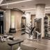 Palestra