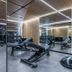 Palestra
