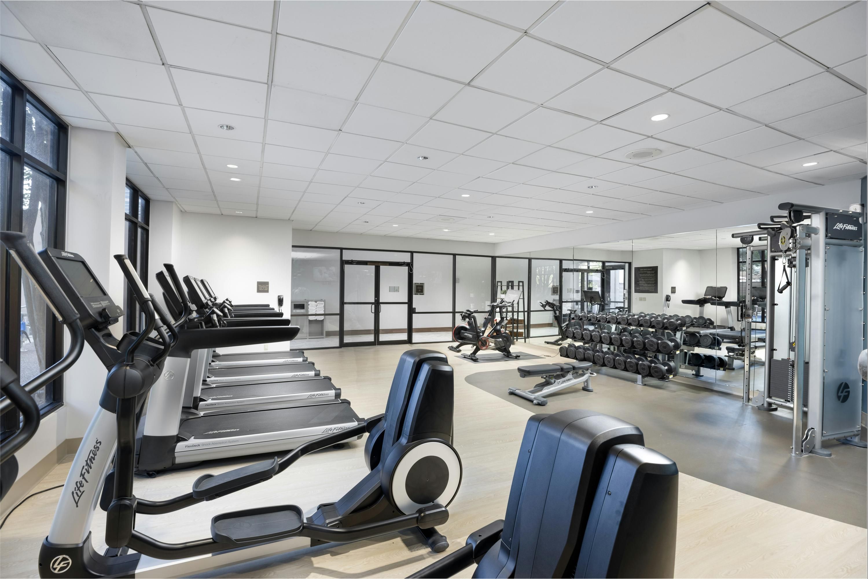 Palestra