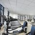 Palestra