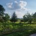 Vista esterna