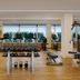 Palestra