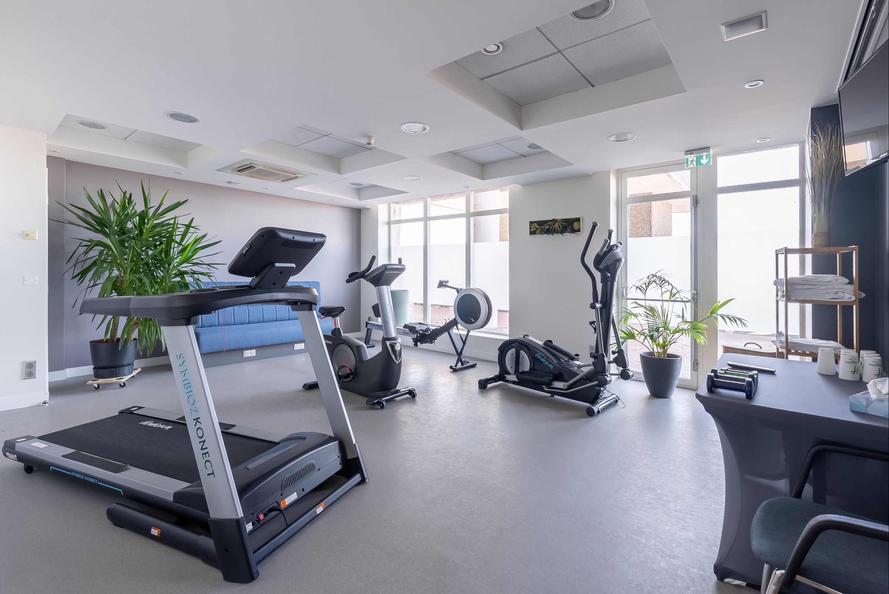 Palestra