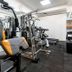 Palestra